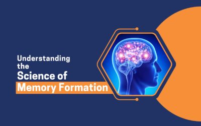 Understanding the Science of Memory Formation