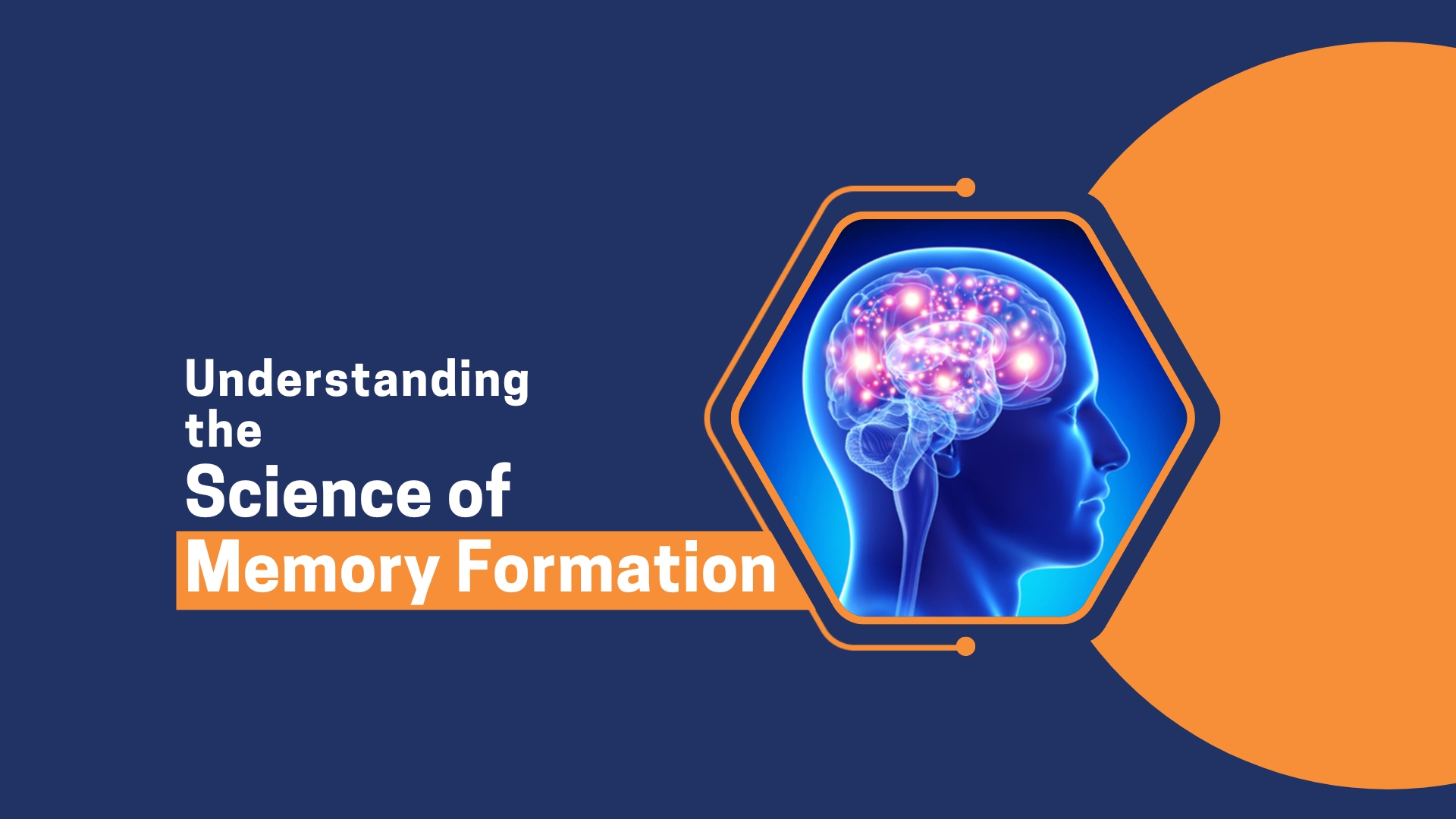 hypothesis memory formation