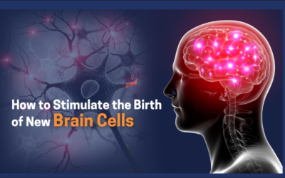 Neurogenesis: How to Stimulate the Birth of New Brain Cells