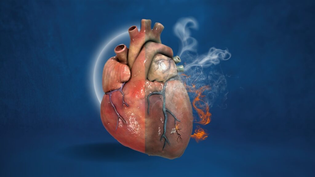 Effects of Tobacco on the Heart